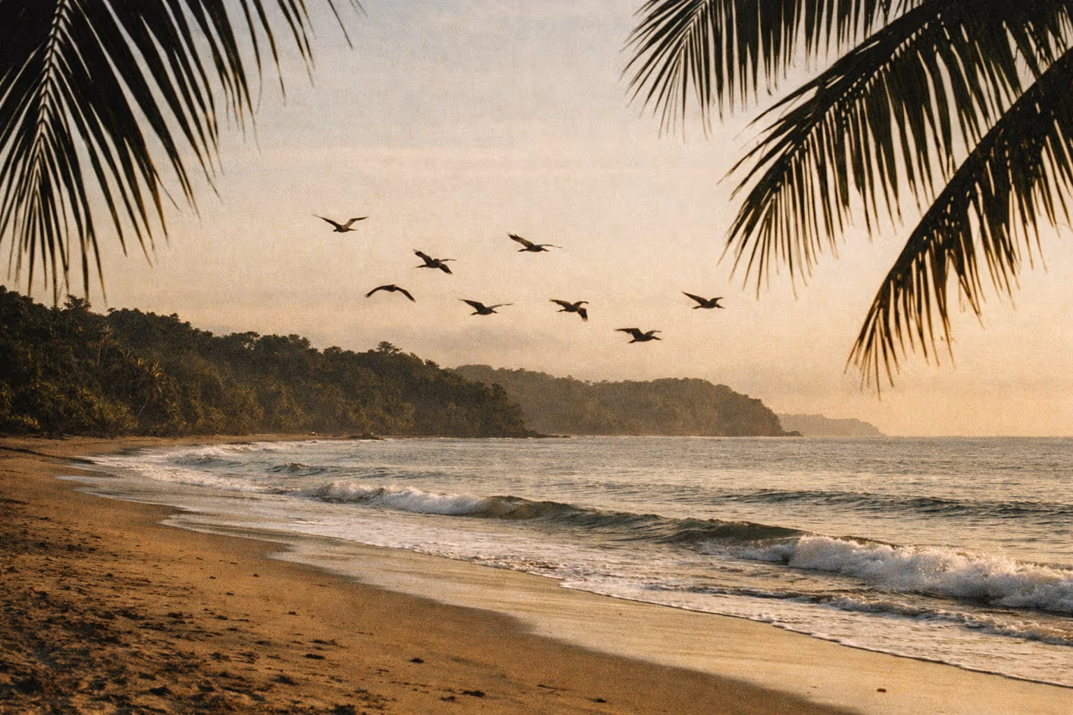Hero editorial beach scene at golden hour in Costa Rica, with calm turquoise water, palm silhouettes, and distant rainforest