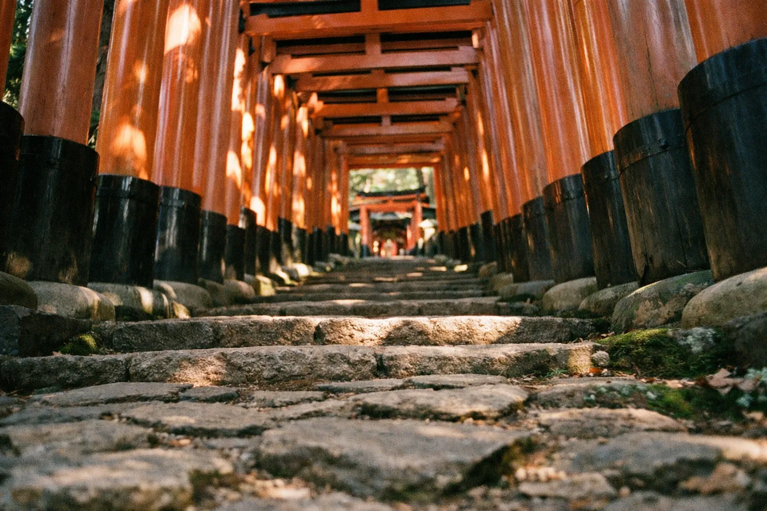 Torii gate tunnel shimmering in sunlight