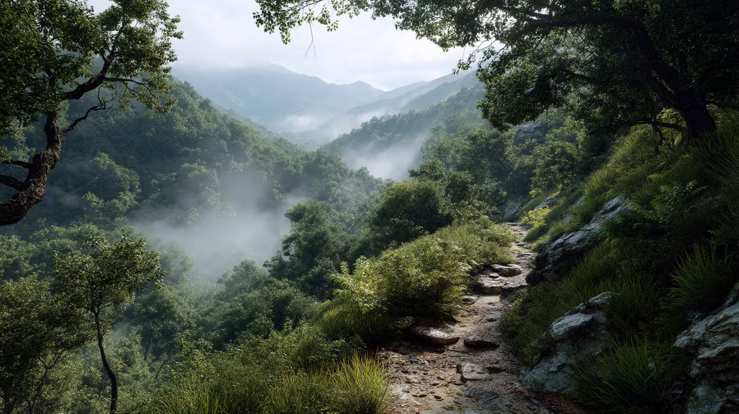 Trails & Hiking — hero image